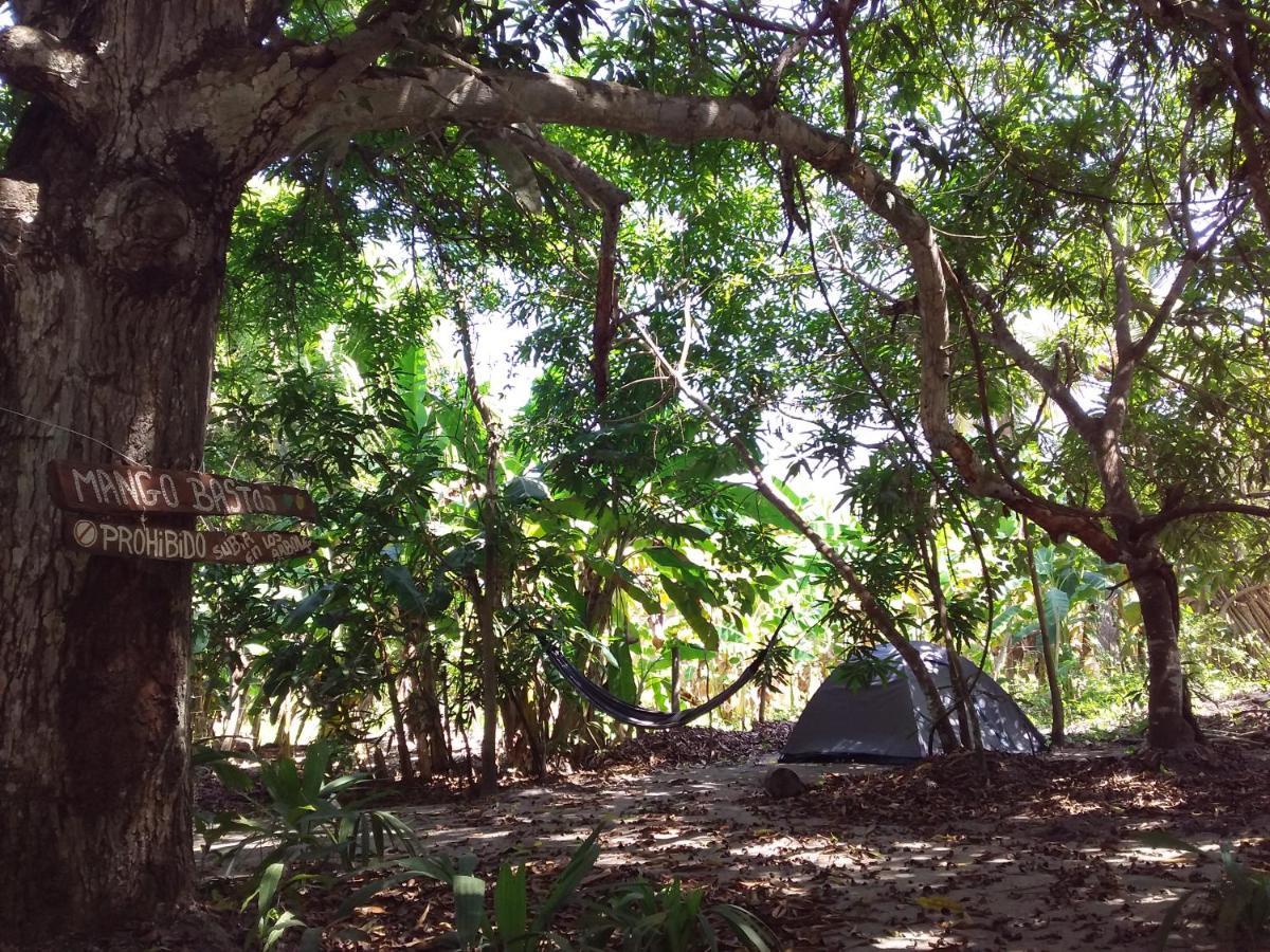Eco-Camping Mango Feliz Rincon Del Mar San Onofre Exterior foto