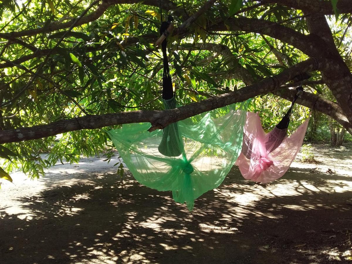 Eco-Camping Mango Feliz Rincon Del Mar San Onofre Exterior foto