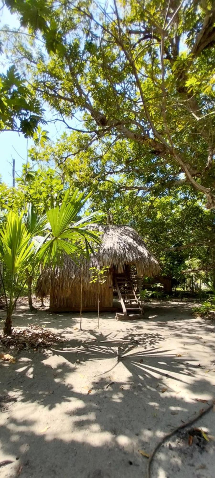 Eco-Camping Mango Feliz Rincon Del Mar San Onofre Exterior foto