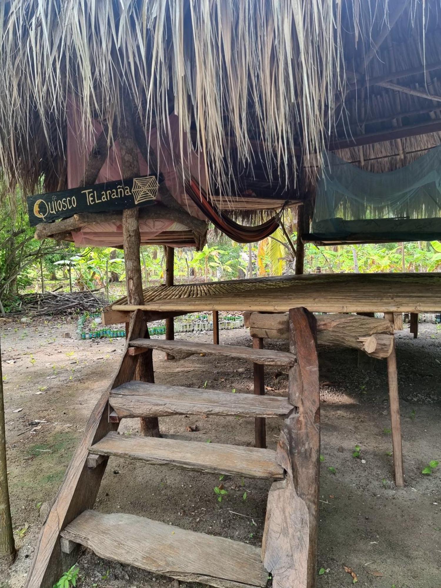 Eco-Camping Mango Feliz Rincon Del Mar San Onofre Exterior foto