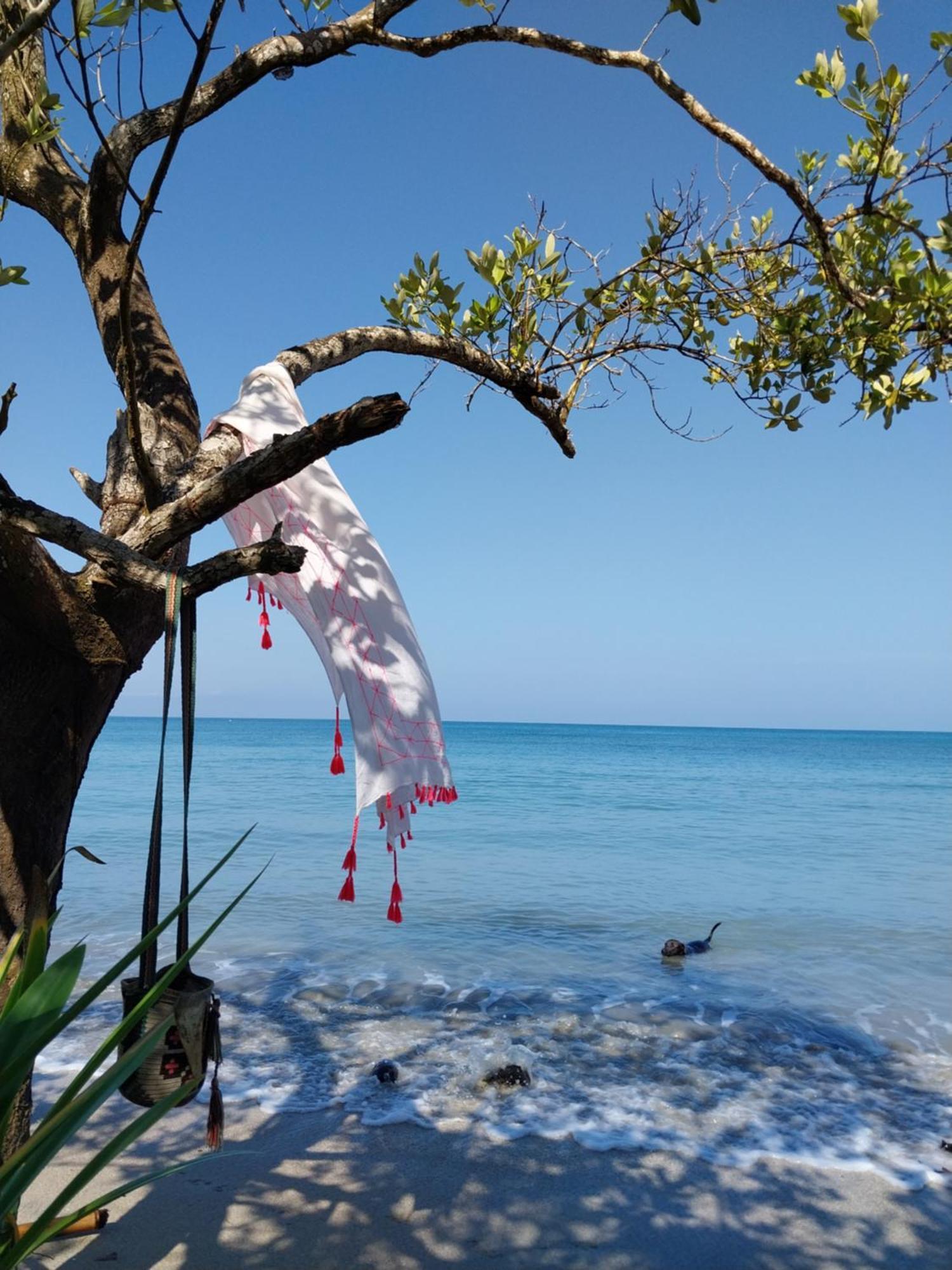 Eco-Camping Mango Feliz Rincon Del Mar San Onofre Exterior foto