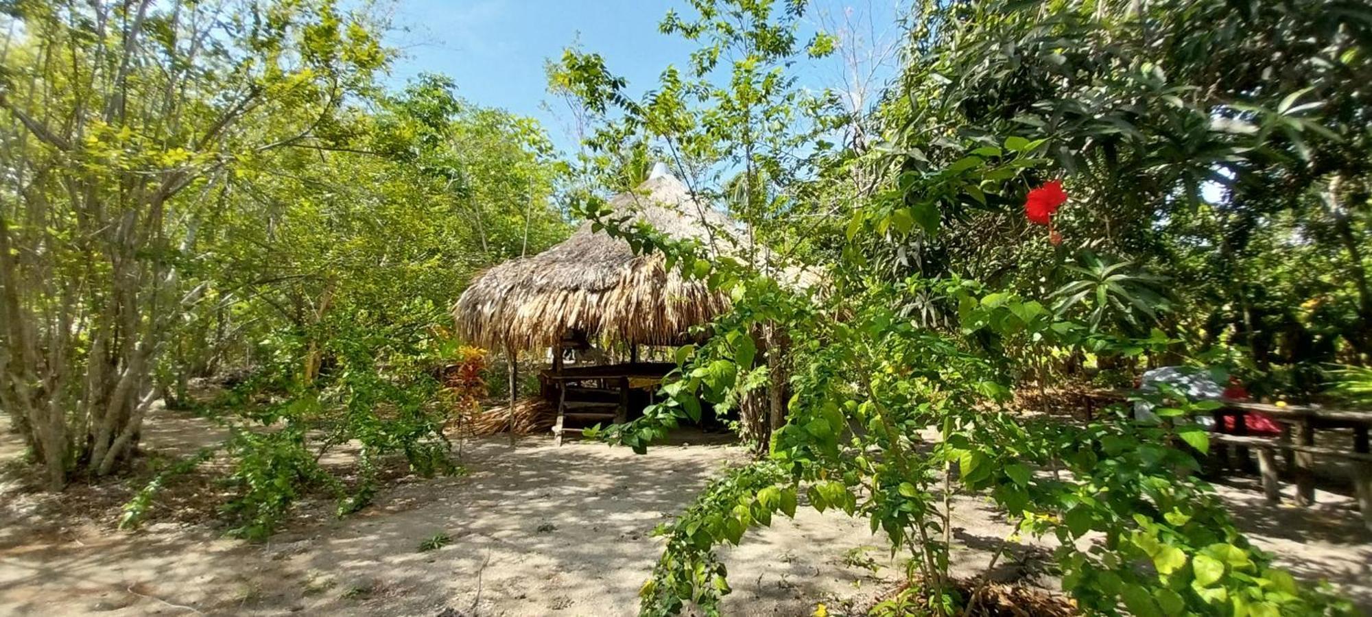 Eco-Camping Mango Feliz Rincon Del Mar San Onofre Exterior foto