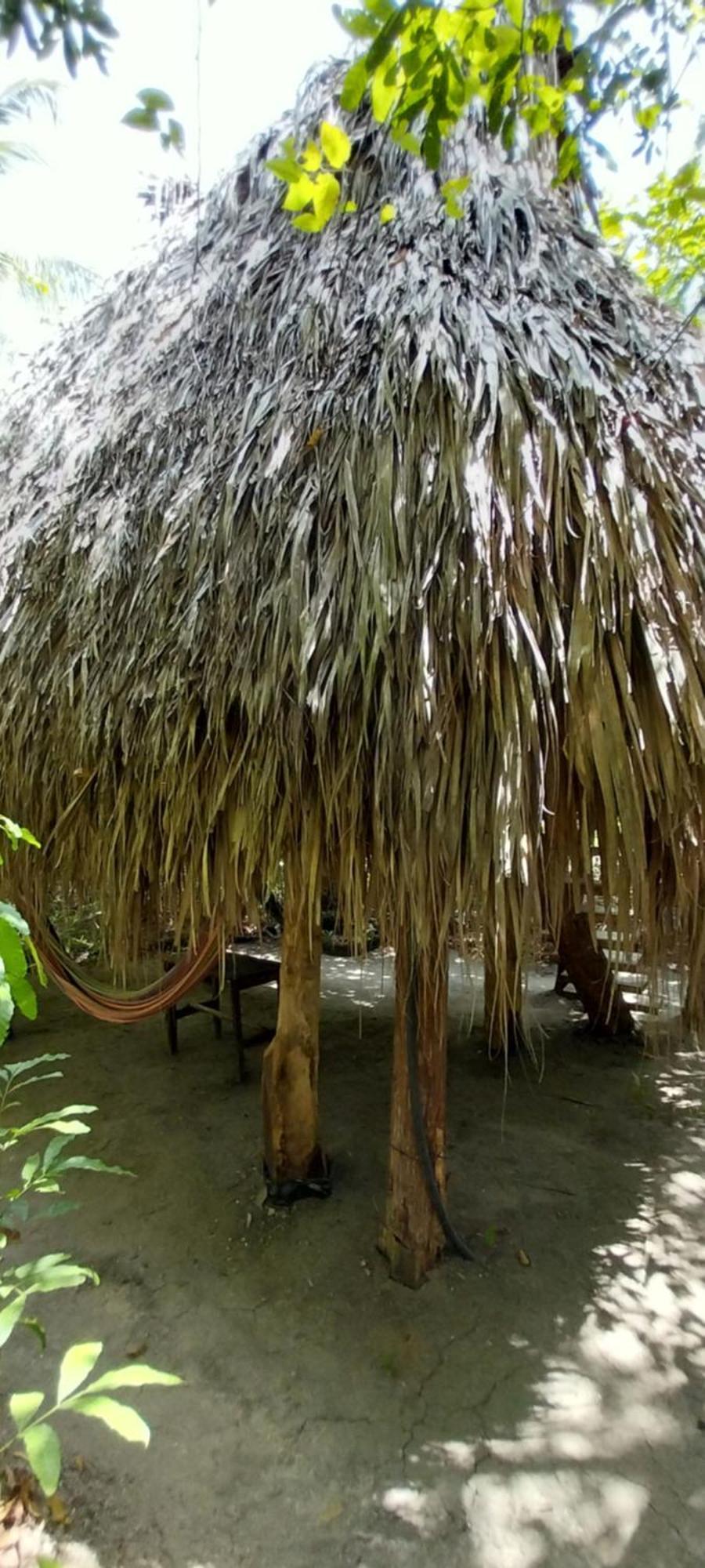 Eco-Camping Mango Feliz Rincon Del Mar San Onofre Exterior foto